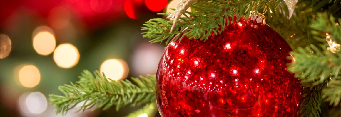Feliz Natal e um Próspero Ano Novo - Sindifícios